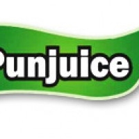 Punjab Agro Juices Limited