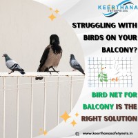 Best Pigeon net Services in Pune